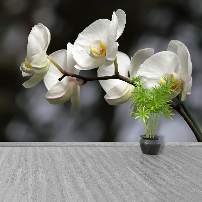 Papier peint decoratif Orchidée blanche