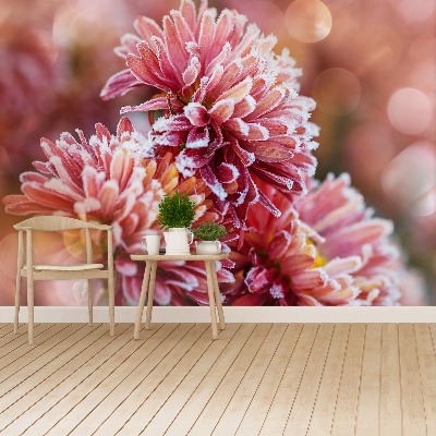 Papier peint decoratif Aster pink ice