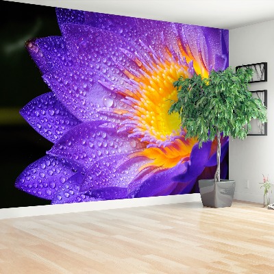 Papier peint decoratif Purple lotus