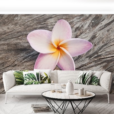 Papier peint decoratif Frangipani bois