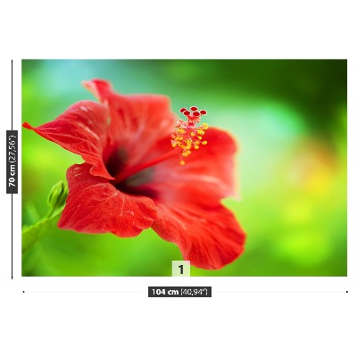 Papier peint decoratif Hibiscus rouge