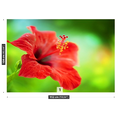 Papier peint decoratif Hibiscus rouge