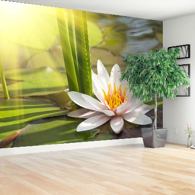 Papier peint decoratif Lotus et étang