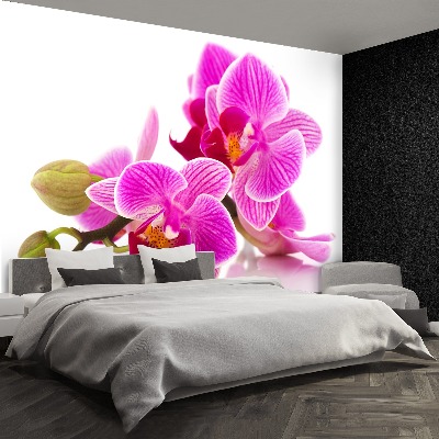 Papier peint decoratif Fleurs d'orchidées