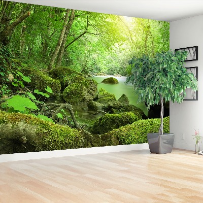Papier peint photo Forest river
