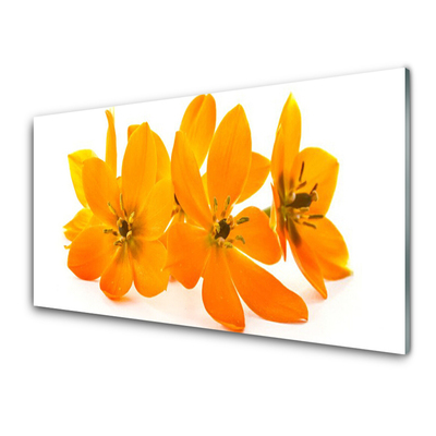 Tableaux sur verre acrylique Fleurs floral orange