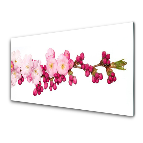 Tableaux sur verre acrylique Fleurs branche floral rose