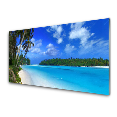 Tableaux sur verre acrylique Palmes plage mer du sud paysage bleu vert