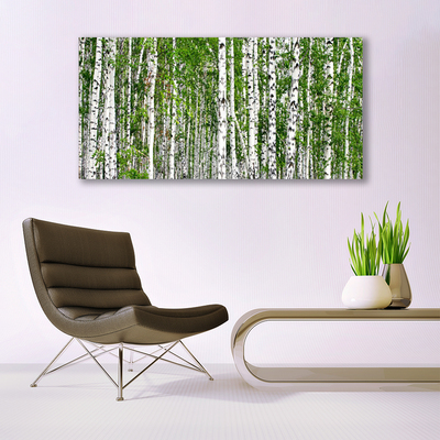 Tableaux sur verre acrylique Bouleau forêt arbres nature vert blanc