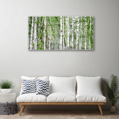 Tableaux sur verre acrylique Bouleau forêt arbres nature vert blanc