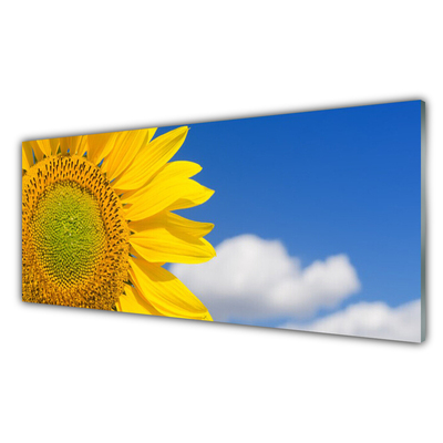 Tableaux sur verre acrylique Tournesol nuages floral jaune or bleu