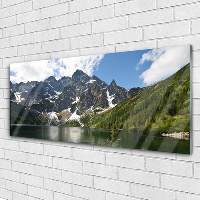 Tableaux sur verre acrylique Montagne lac forêt paysage vert bleu blanc gris