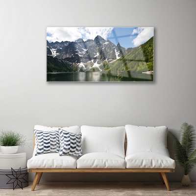 Tableaux sur verre acrylique Montagne lac forêt paysage vert bleu blanc gris
