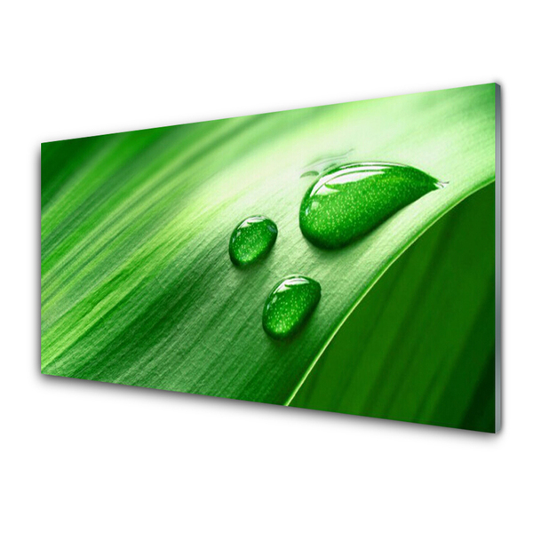 Tableaux sur verre acrylique Feuille eau gouttes floral vert