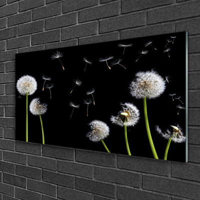 Tableaux sur verre acrylique Pissenlits floral noir vert blanc