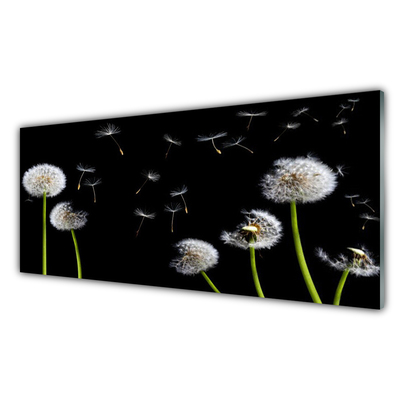 Tableaux sur verre acrylique Pissenlits floral noir vert blanc