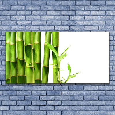 Tableaux sur verre acrylique Bambou floral vert blanc