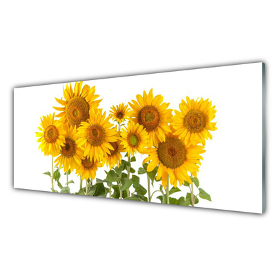 Tableaux sur verre acrylique Tournesols floral jaune or vert