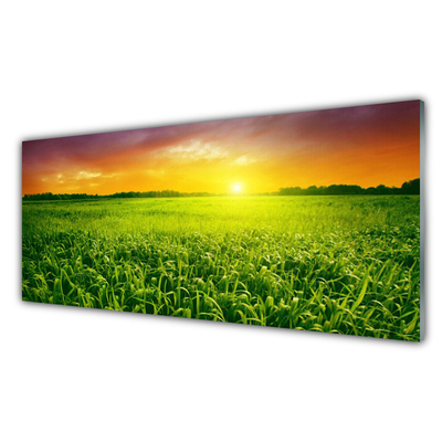 Tableaux sur verre acrylique Champ de blé lever du soleil floral vert rouge