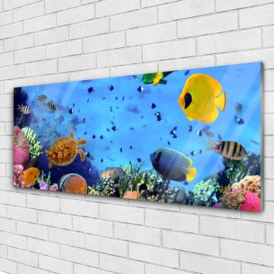 Tableaux sur verre acrylique Poisson sous-marin récif de corail nature bleu jaune multicolore