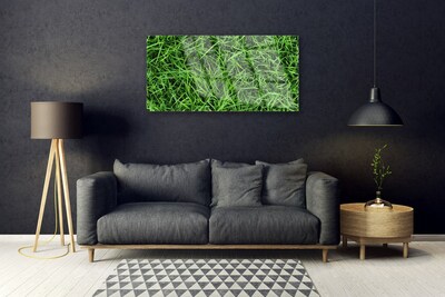 Tableaux sur verre acrylique Herbe pelouse floral vert