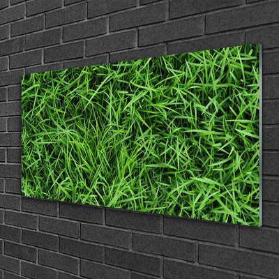 Tableaux sur verre acrylique Herbe pelouse floral vert