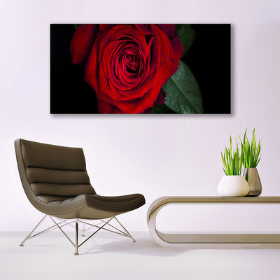 Tableaux sur verre acrylique Rose floral rouge vert noir