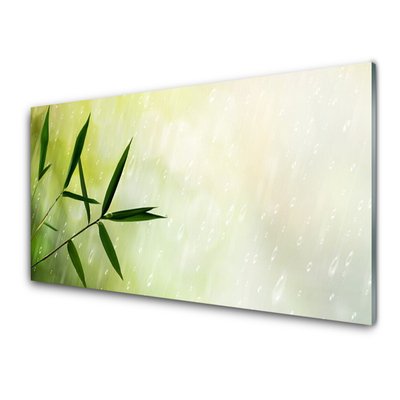 Tableaux sur verre acrylique Feuilles pluie floral vert