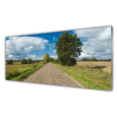 Tableaux sur verre acrylique Route de campagne pavé paysage vert bleu