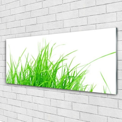 Tableaux sur verre acrylique Herbe floral vert blanc