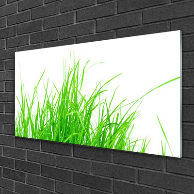 Tableaux sur verre acrylique Herbe floral vert blanc