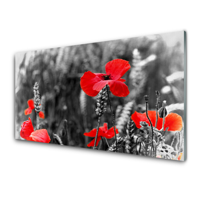 Tableaux sur verre acrylique Coquelicots floral rouge gris