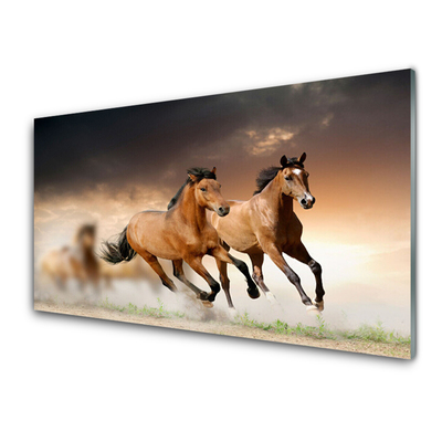 Tableaux sur verre acrylique Chevaux animaux brun