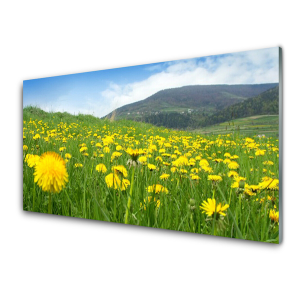 Tableaux sur verre acrylique Pissenlit champ nature jaune vert bleu