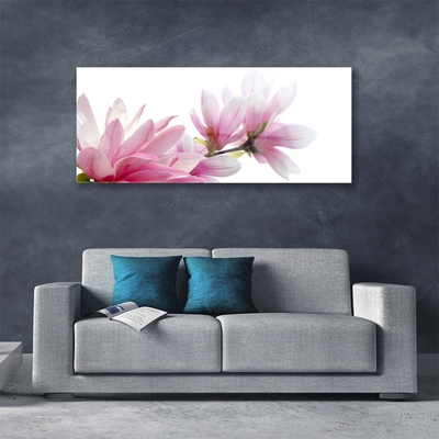 Tableaux sur verre acrylique Magnolia fleurs floral rose