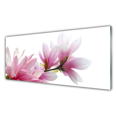 Tableaux sur verre acrylique Magnolia fleurs floral rose