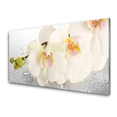 Tableaux sur verre acrylique Fleurs floral blanc gris