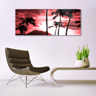 Tableaux sur verre acrylique Montagne palmiers nature rose noir blanc