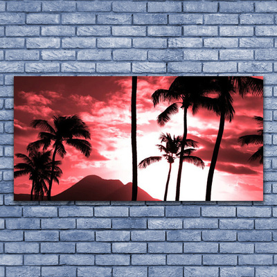 Tableaux sur verre acrylique Montagne palmiers nature rose noir blanc