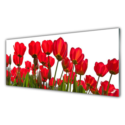 Tableaux sur verre acrylique Fleurs floral rouge vert blanc