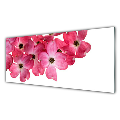 Tableaux sur verre acrylique Fleurs floral rose blanc