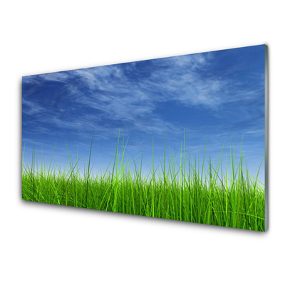 Tableaux sur verre acrylique Ciel herbe nature bleu vert