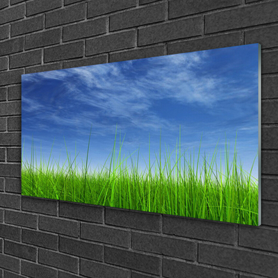 Tableaux sur verre acrylique Ciel herbe nature bleu vert