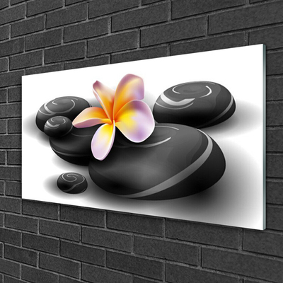 Tableaux sur verre acrylique Fleurs pierres nature noir jaune violet gris