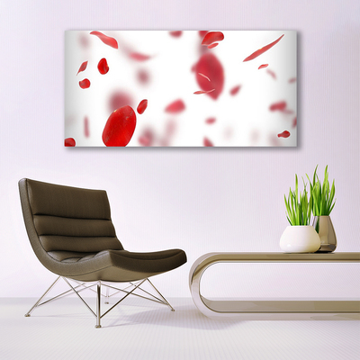 Tableaux sur verre acrylique Pétales de rose floral rouge blanc