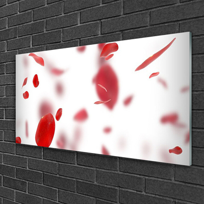 Tableaux sur verre acrylique Pétales de rose floral rouge blanc
