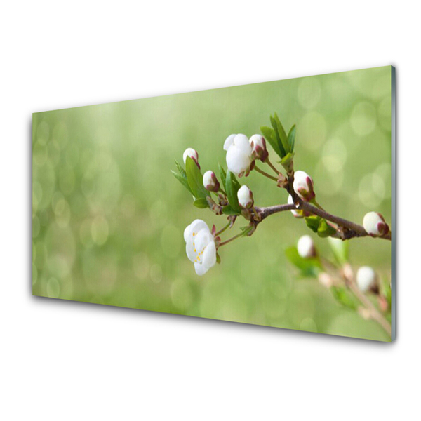 Tableaux sur verre acrylique Fleurs floral vert blanc