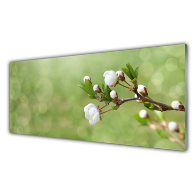 Tableaux sur verre acrylique Fleurs floral vert blanc