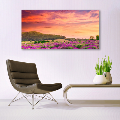 Tableaux sur verre acrylique Prairie fleurs paysage violet vert rose