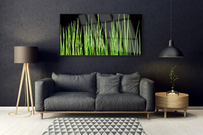 Tableaux sur verre acrylique Herbe floral vert noir